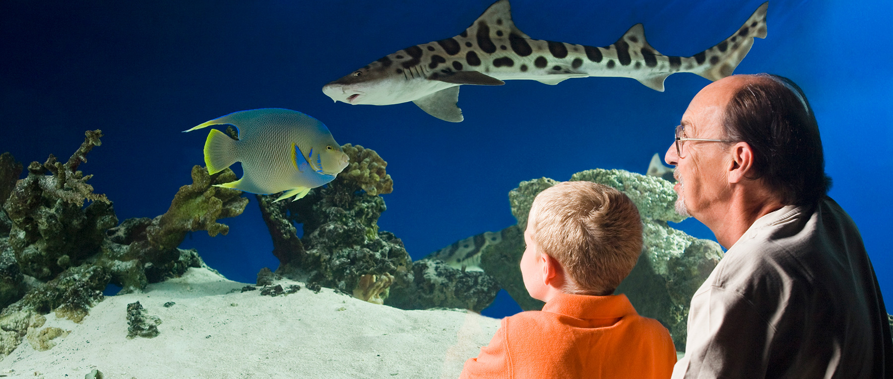 Atlanta Aquarium Package Wingate By Wyndham Atlanta/Six Flags Austell
